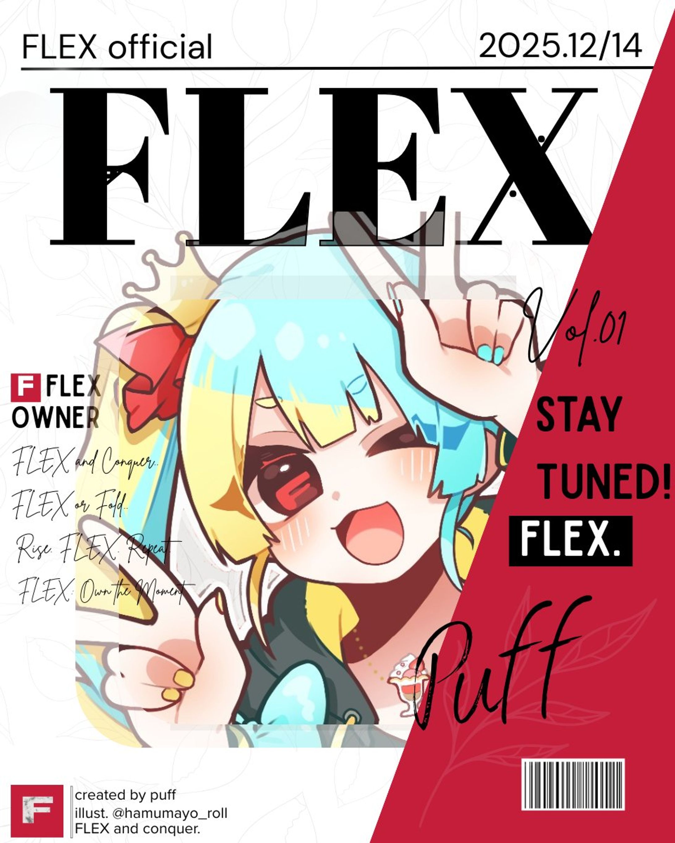 FLEX用-1