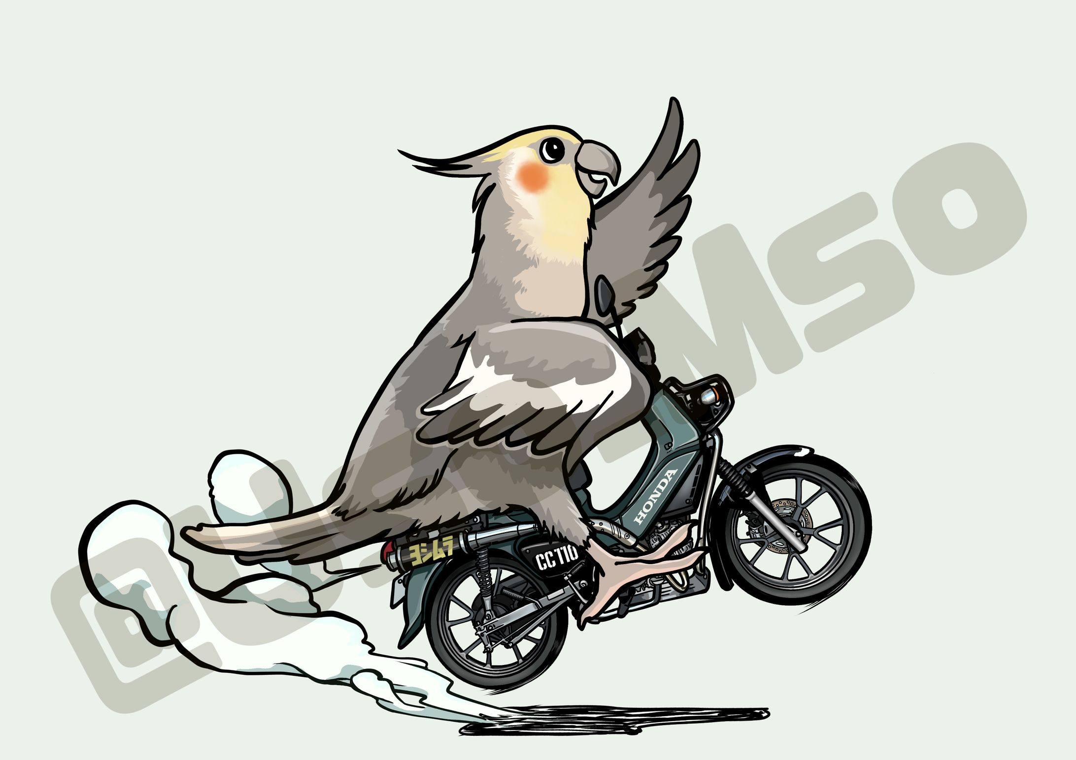 クロスカブとオカメインコ-1