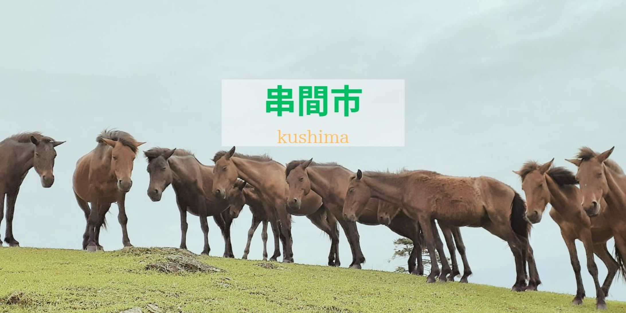 くしまし-1