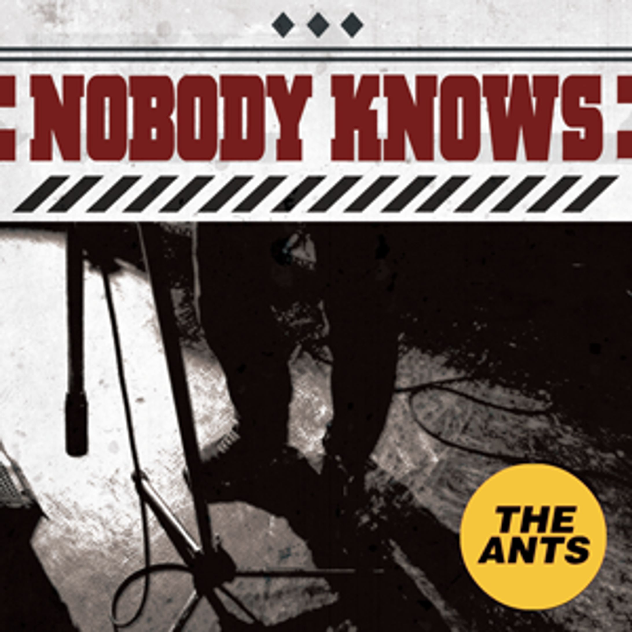 THE ANTS - NOBODY KNOWS-1
