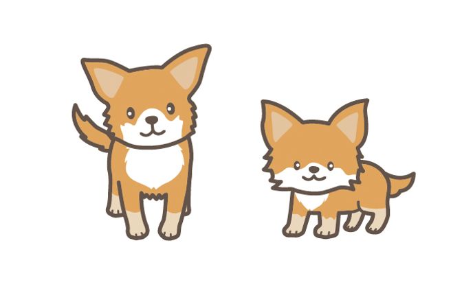 イラスト_チワワ