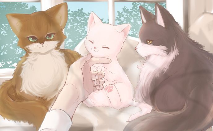 二次創作、business