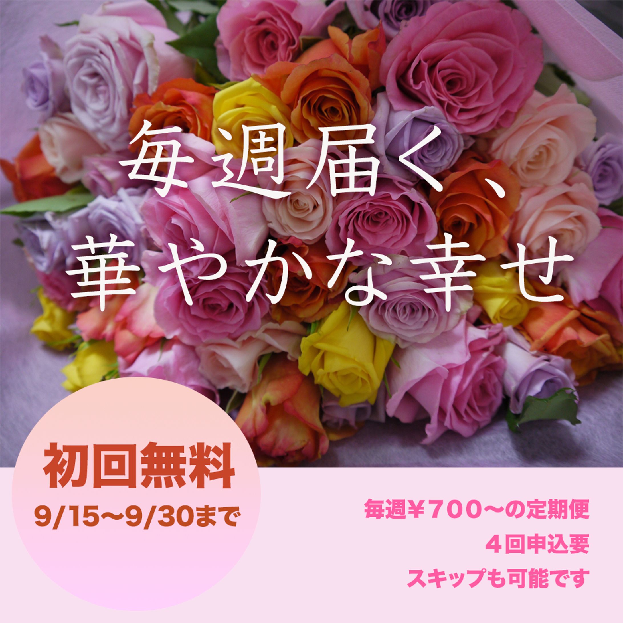 お花の定期便-1