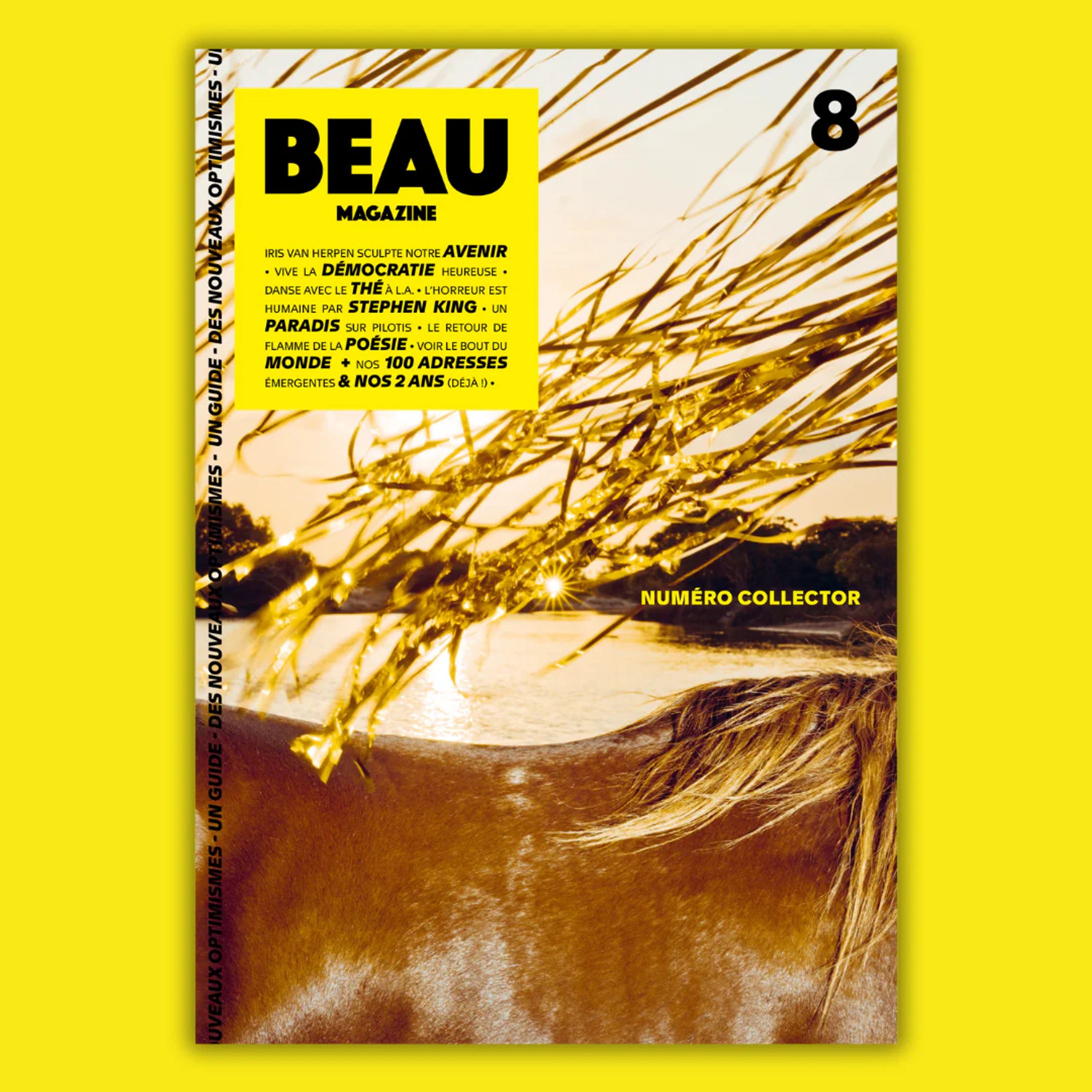 BEAU MAGAZINE 8-1