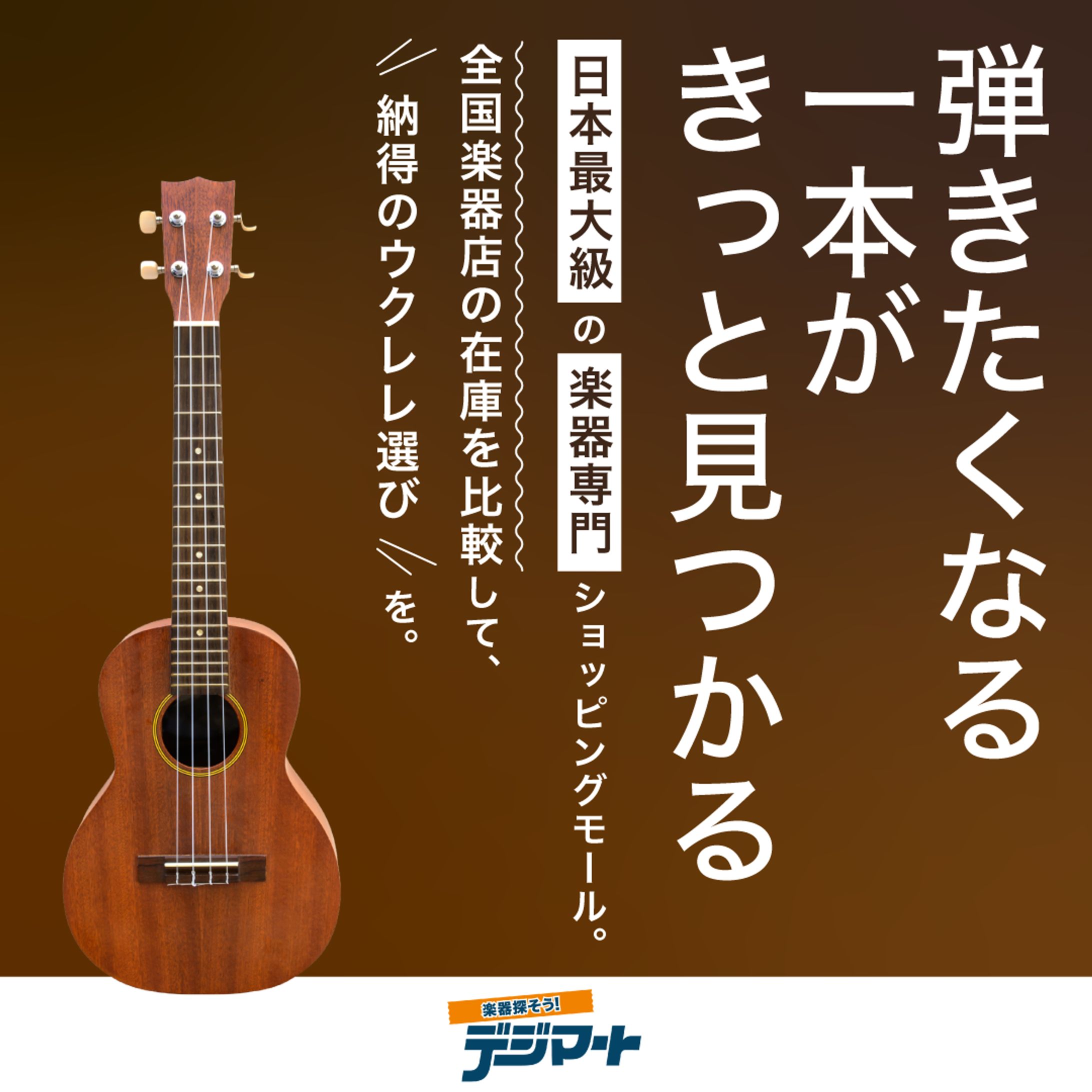 Meta広告/楽器専門ECサイト-1