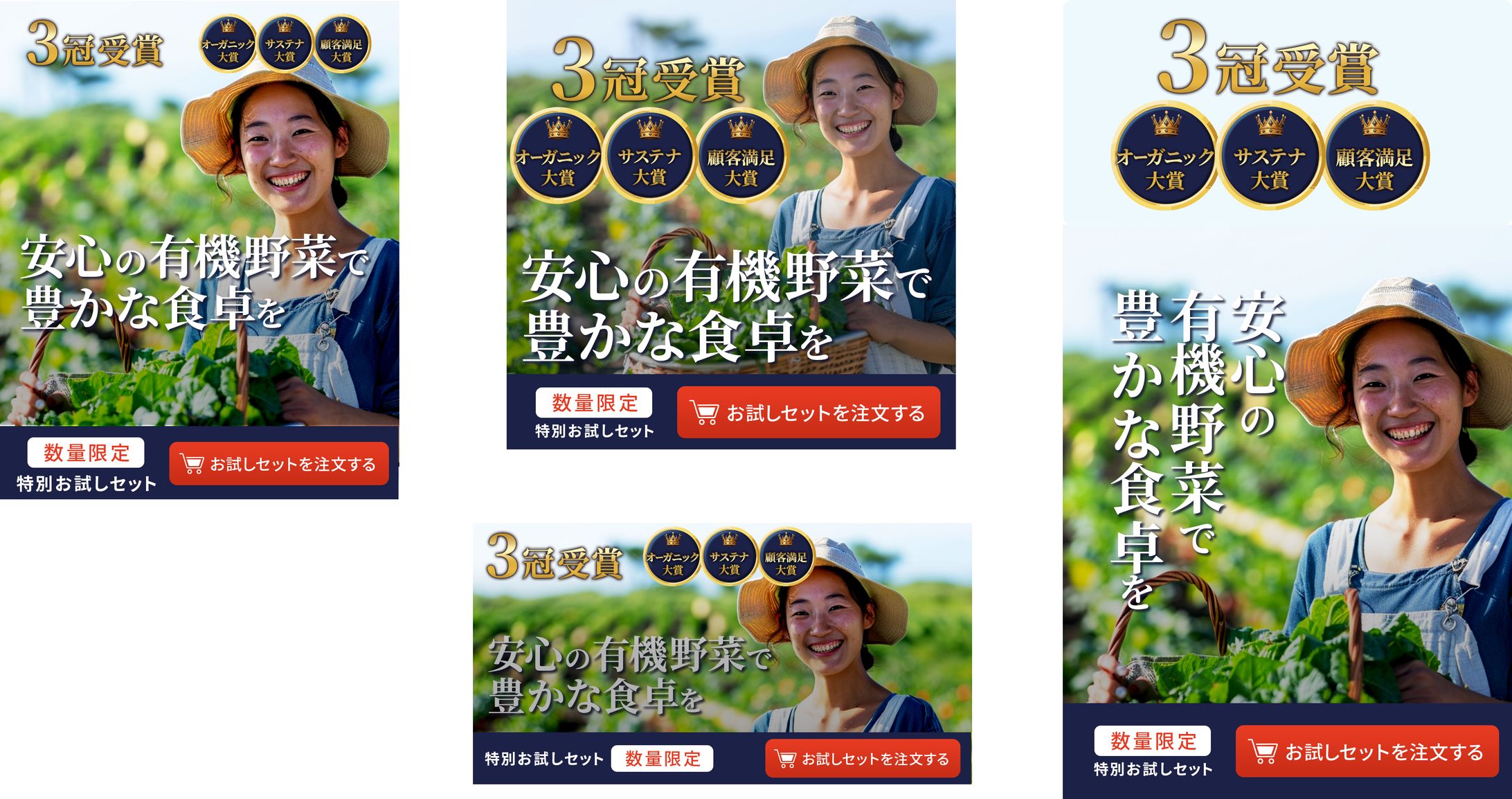 リサイズ　バナー-1