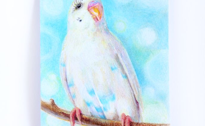 セキセイインコのソラくん｜色鉛筆イラスト