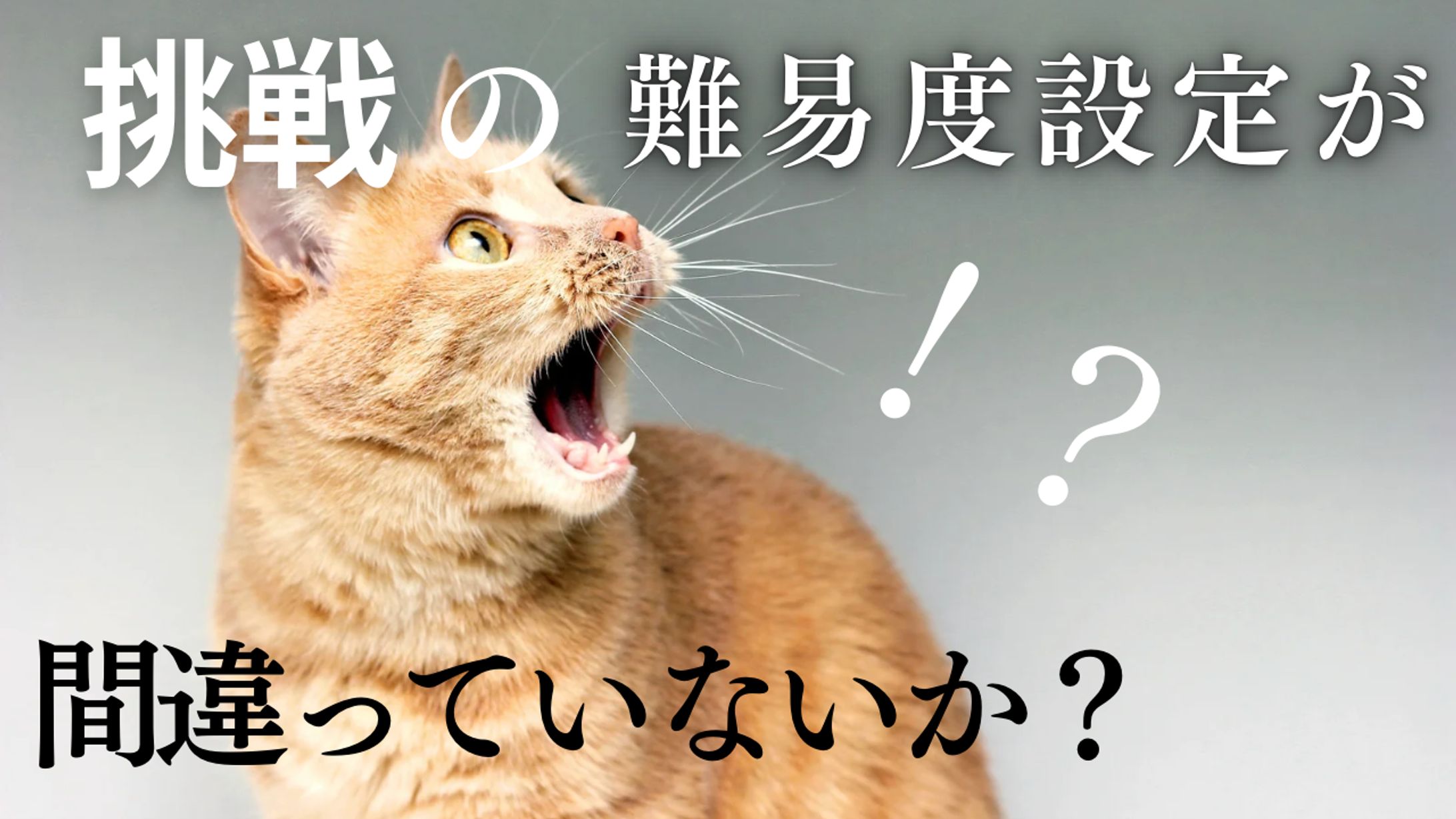 YouTubeサムネイル-1