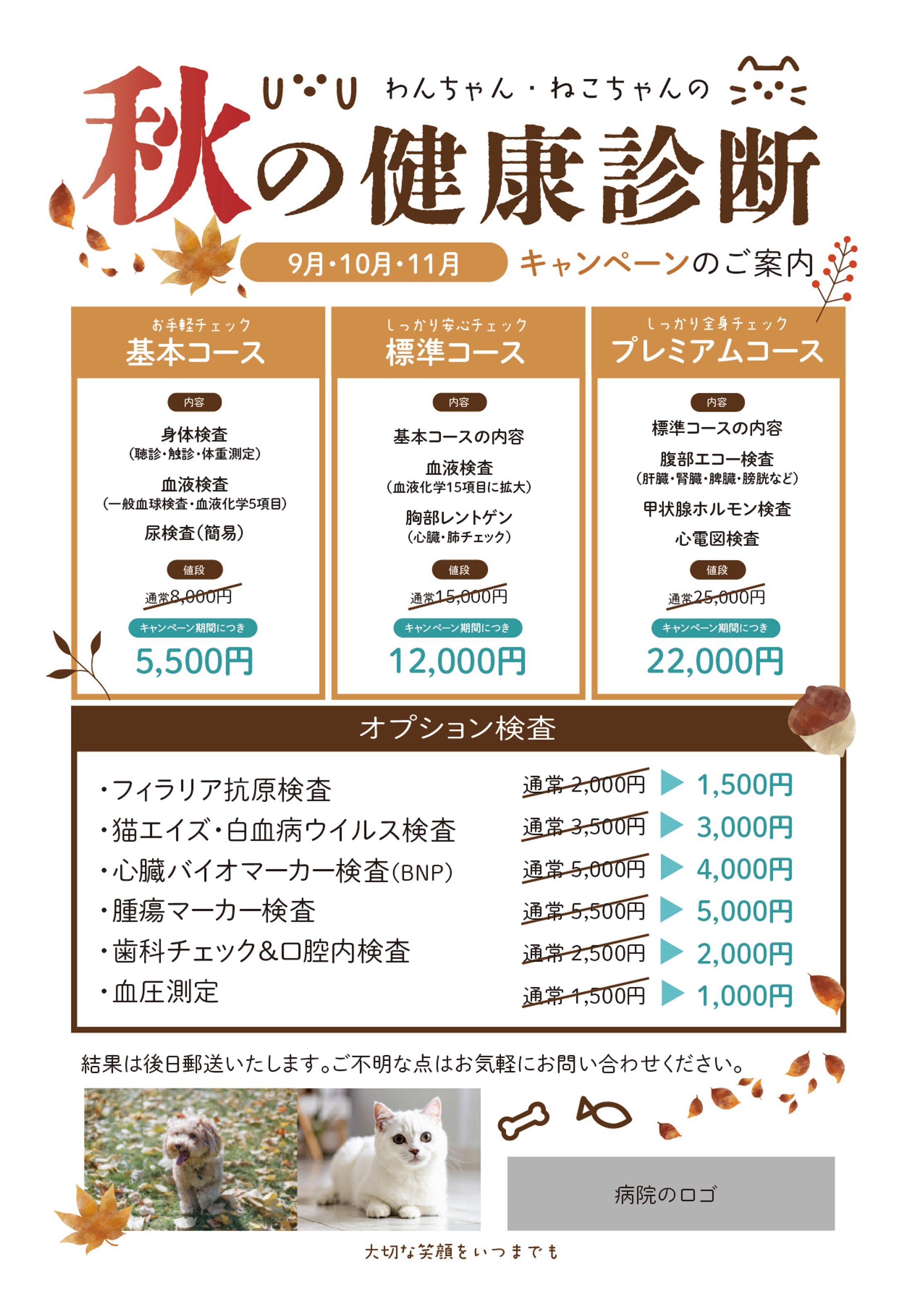 250827DMチラシ_動物病院の健康診断-1