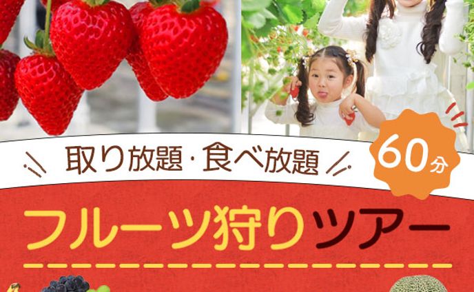 フルーツ狩りツアー　バナー