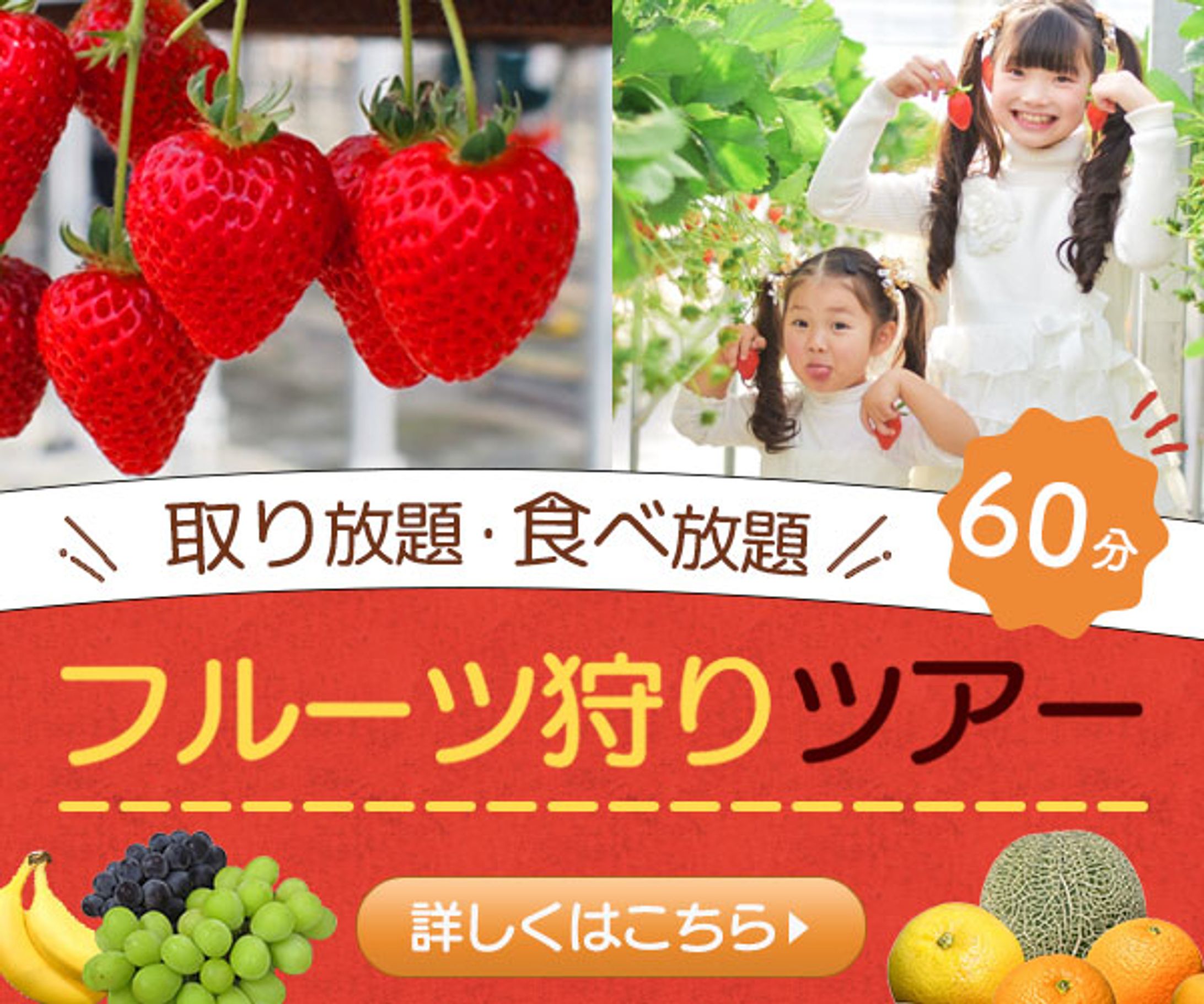 フルーツ狩りツアー　バナー-1
