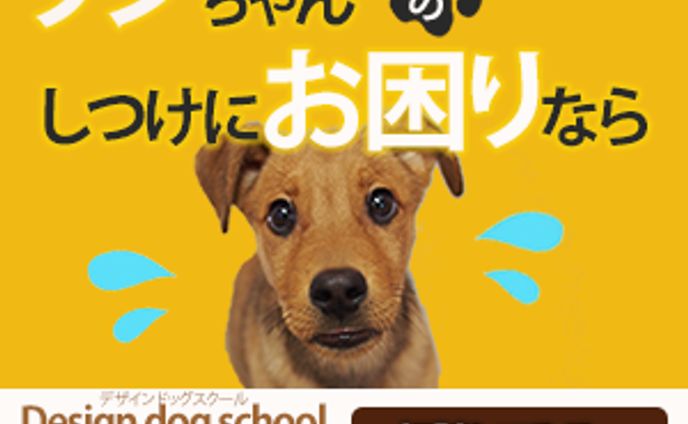 バナー:dogschool