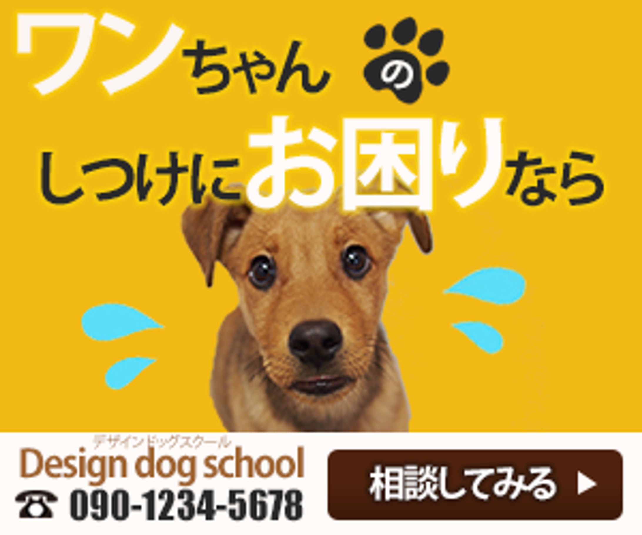 バナー:dogschool-1