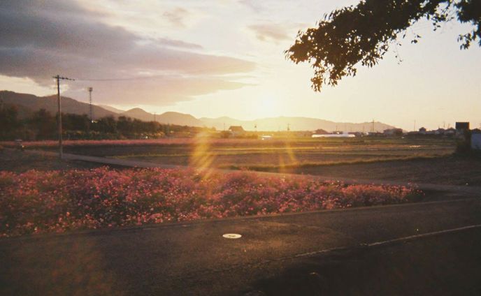 Photo(scenery)