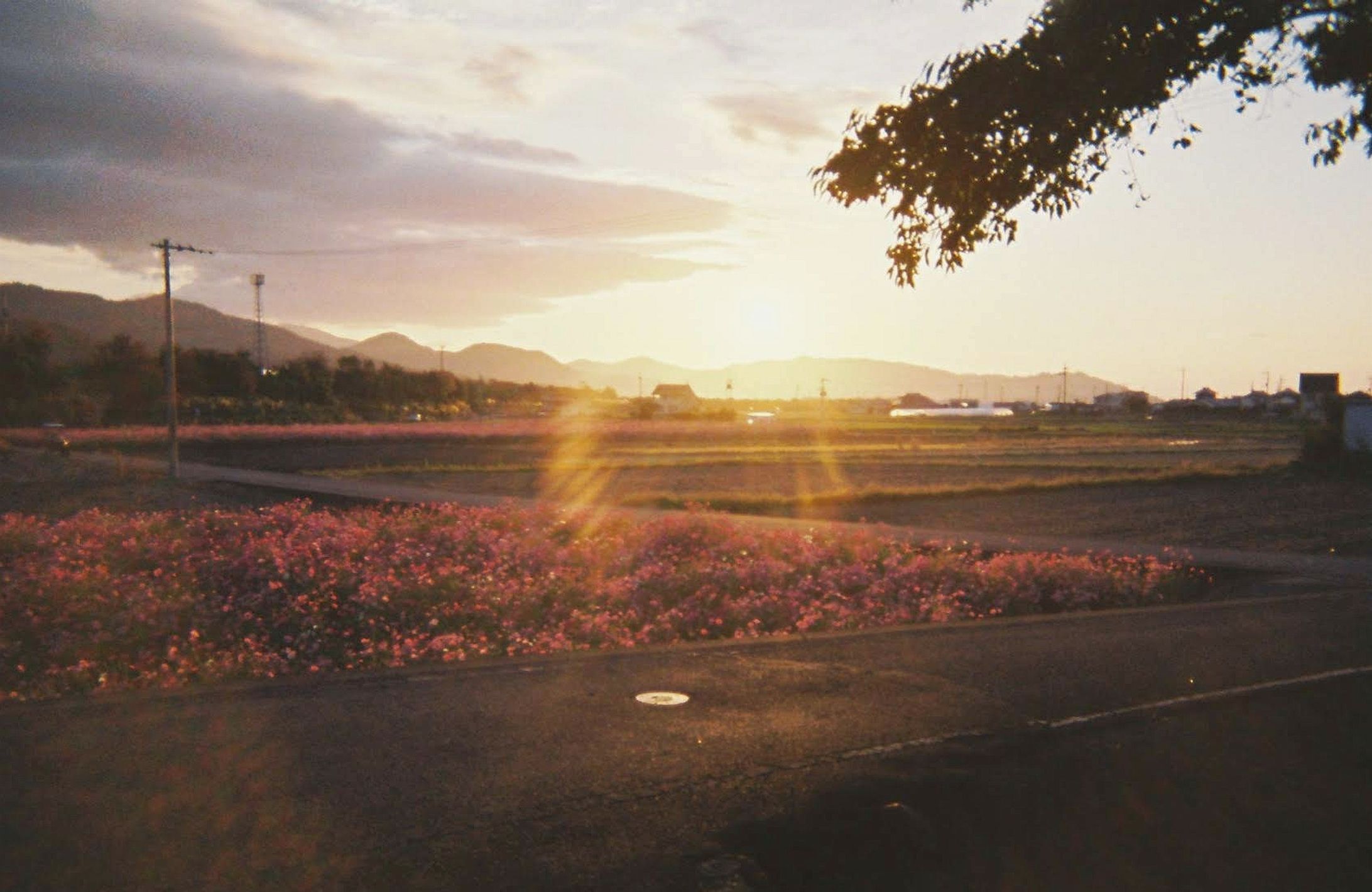 Photo(scenery)-1