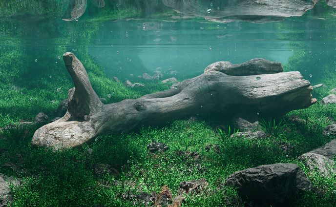 In the River(Personal work)
