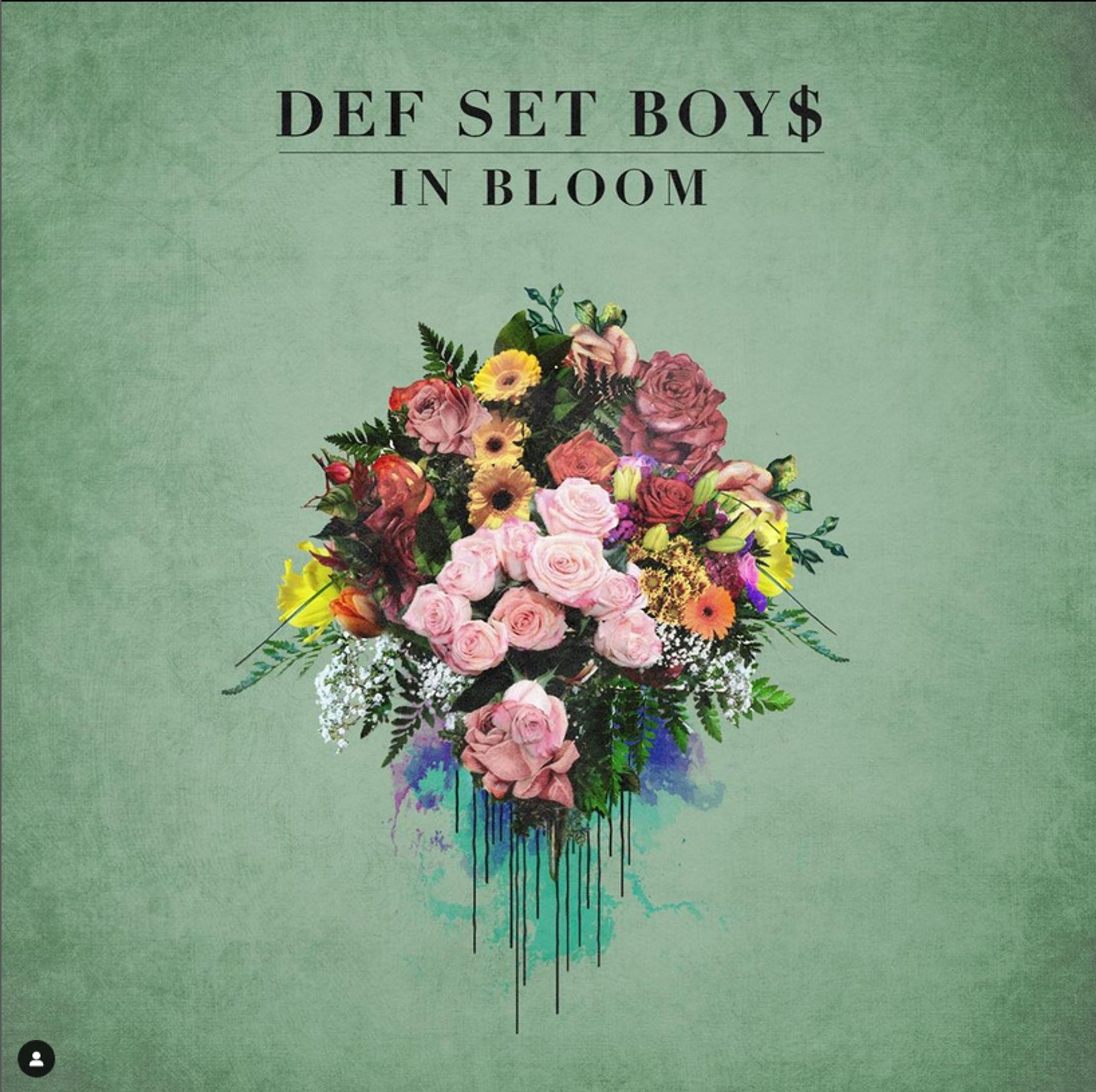 DEF SET BOYS - IN BLOOM -1