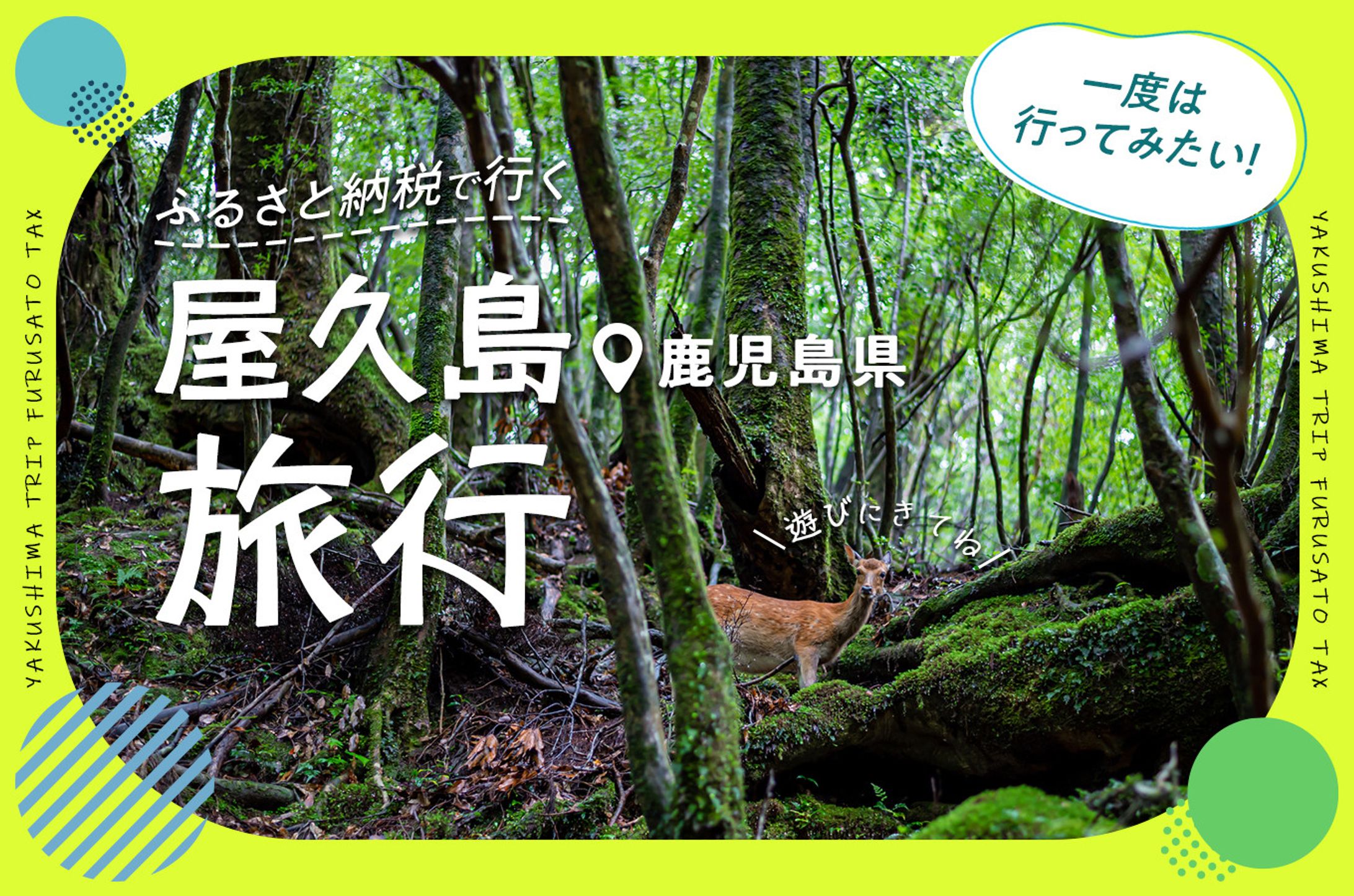 屋久島ふるさと納税旅行特集-1