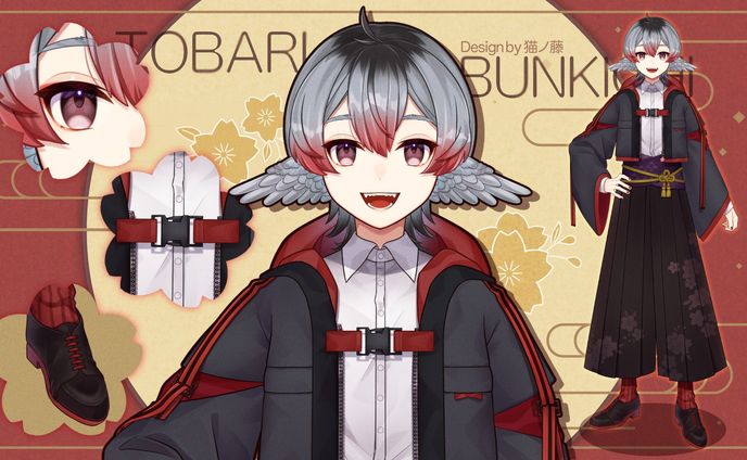 グラフィックデザイナー、イラストレーター、1枚絵