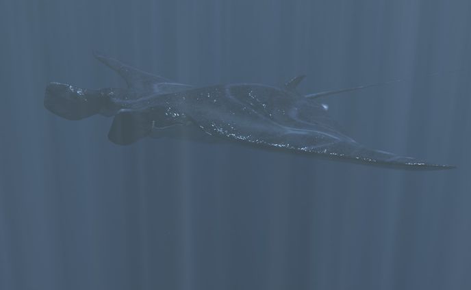 イトマキエイのレンダリング