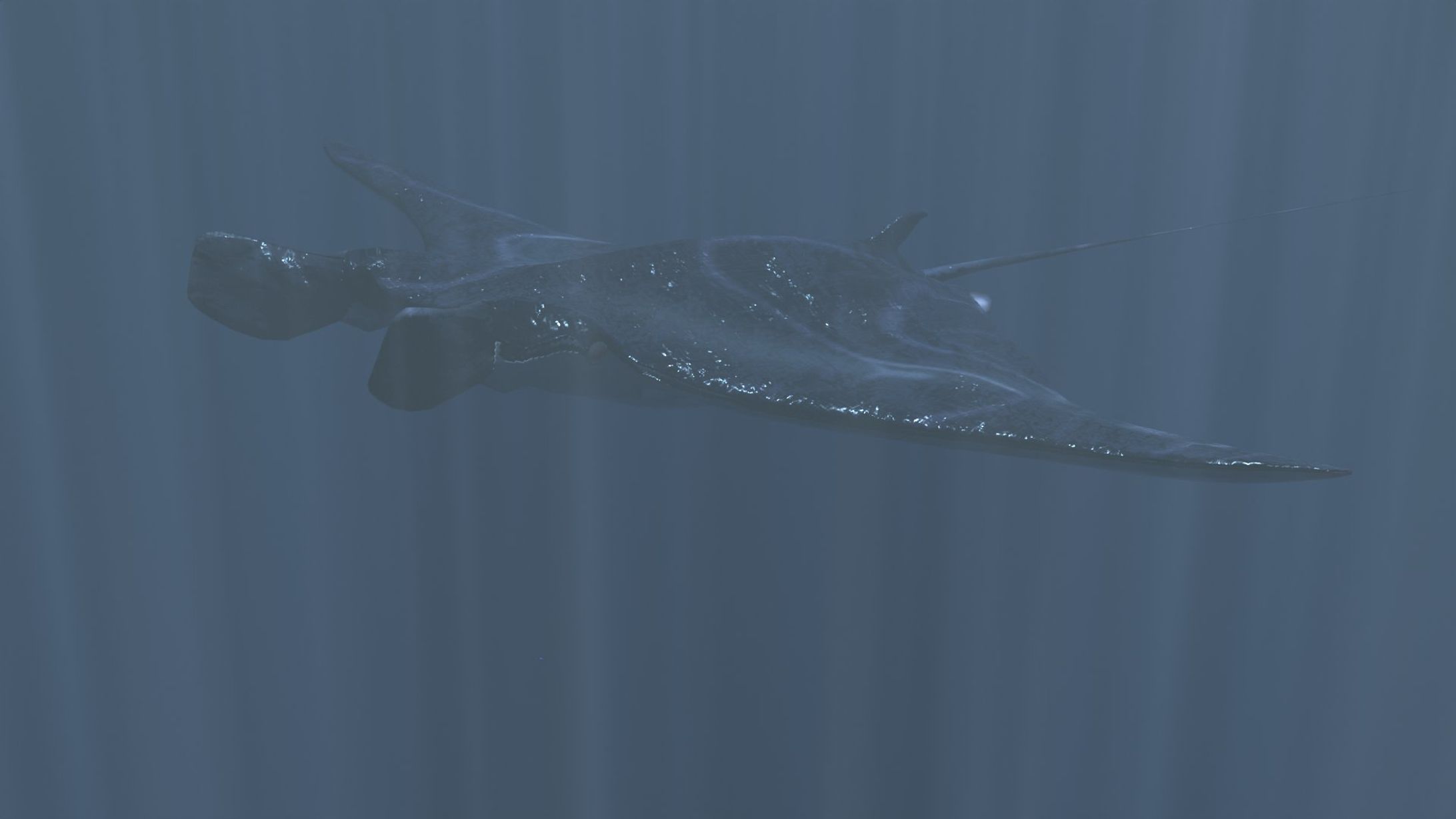 イトマキエイのレンダリング-1