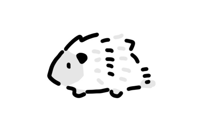 ハリネズミ