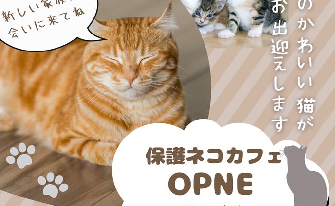 架空の保護猫カフェバナー