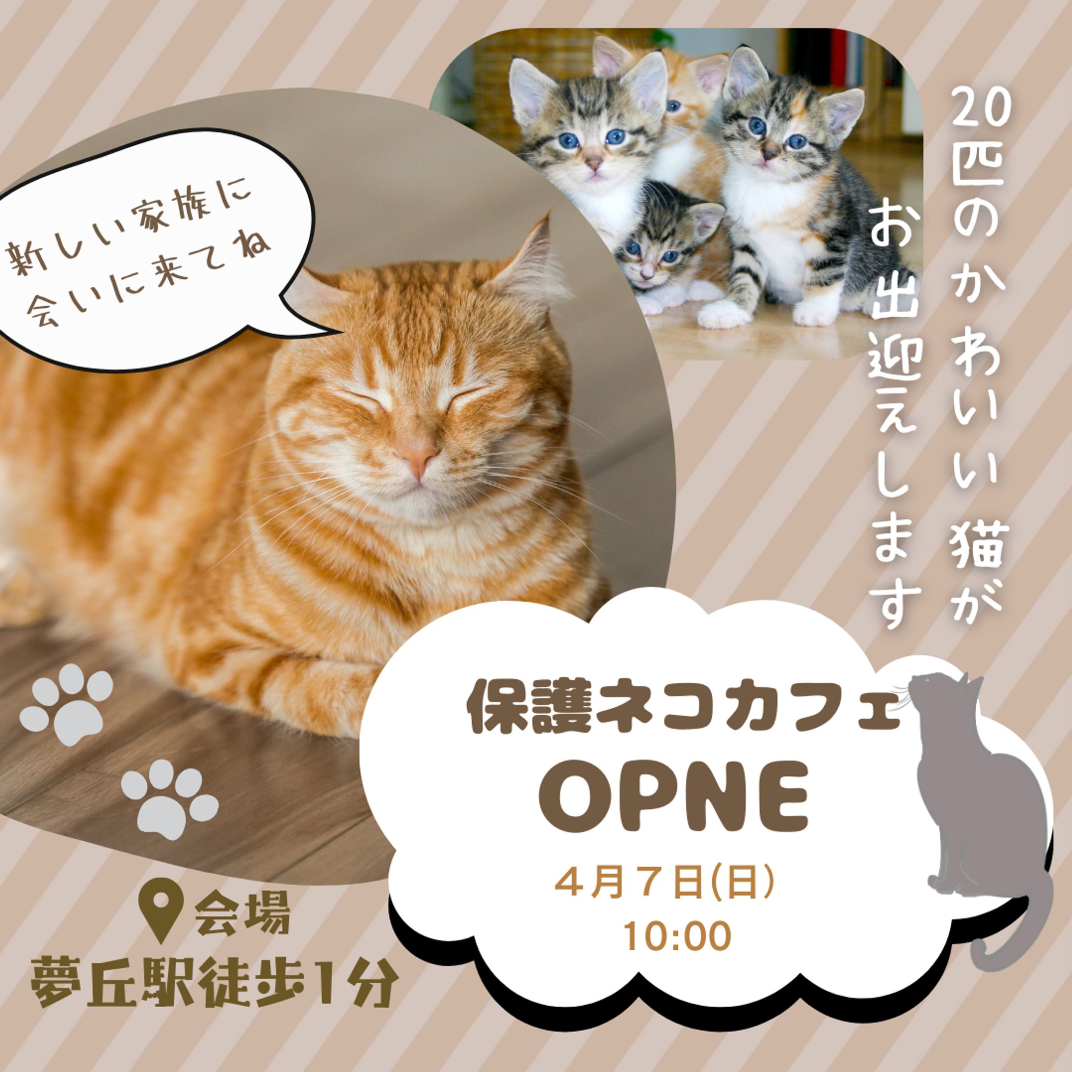 架空の保護猫カフェバナー-1