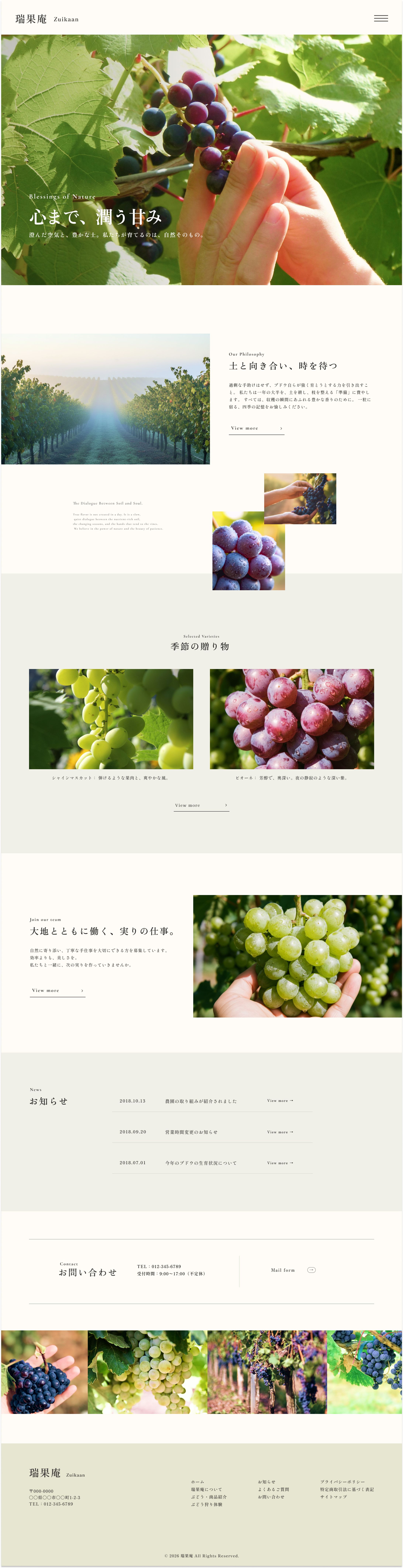ブドウ農園ラフ(架空サイト)-1