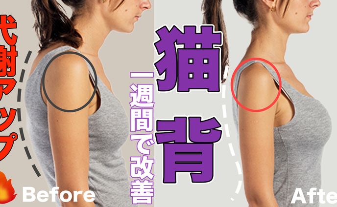 サムネイル、ボンド株式会社