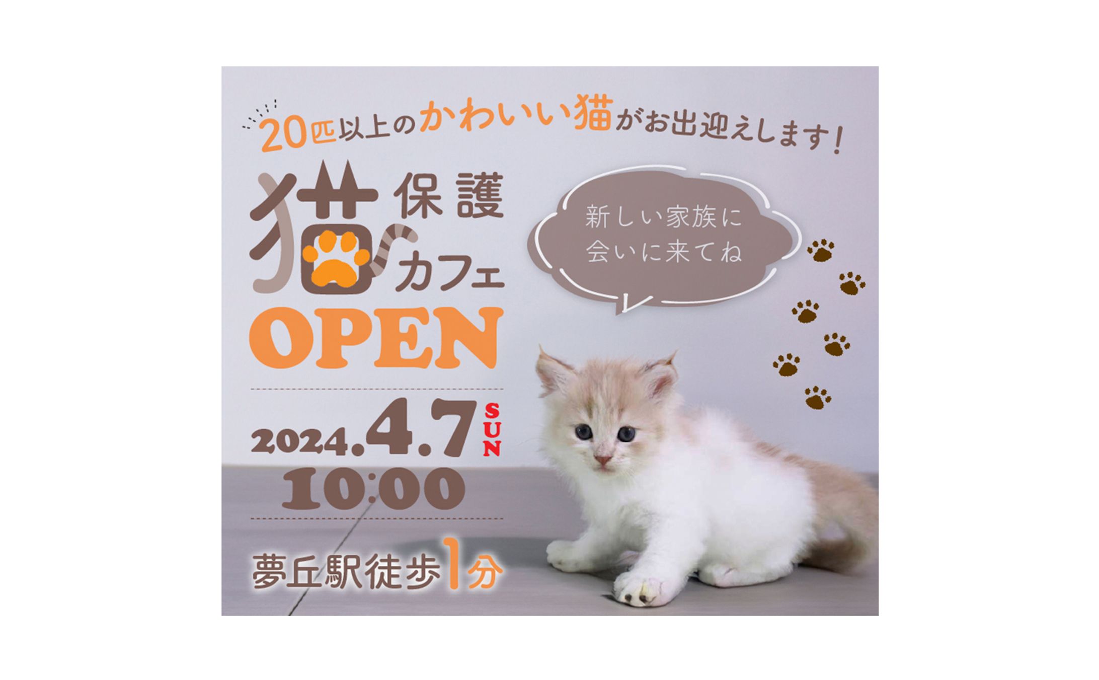 保護猫カフェ　バナー-1