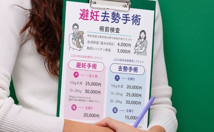 実績：サロン料金表②