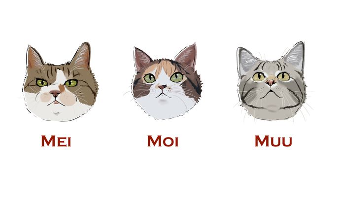 うちの子たち
