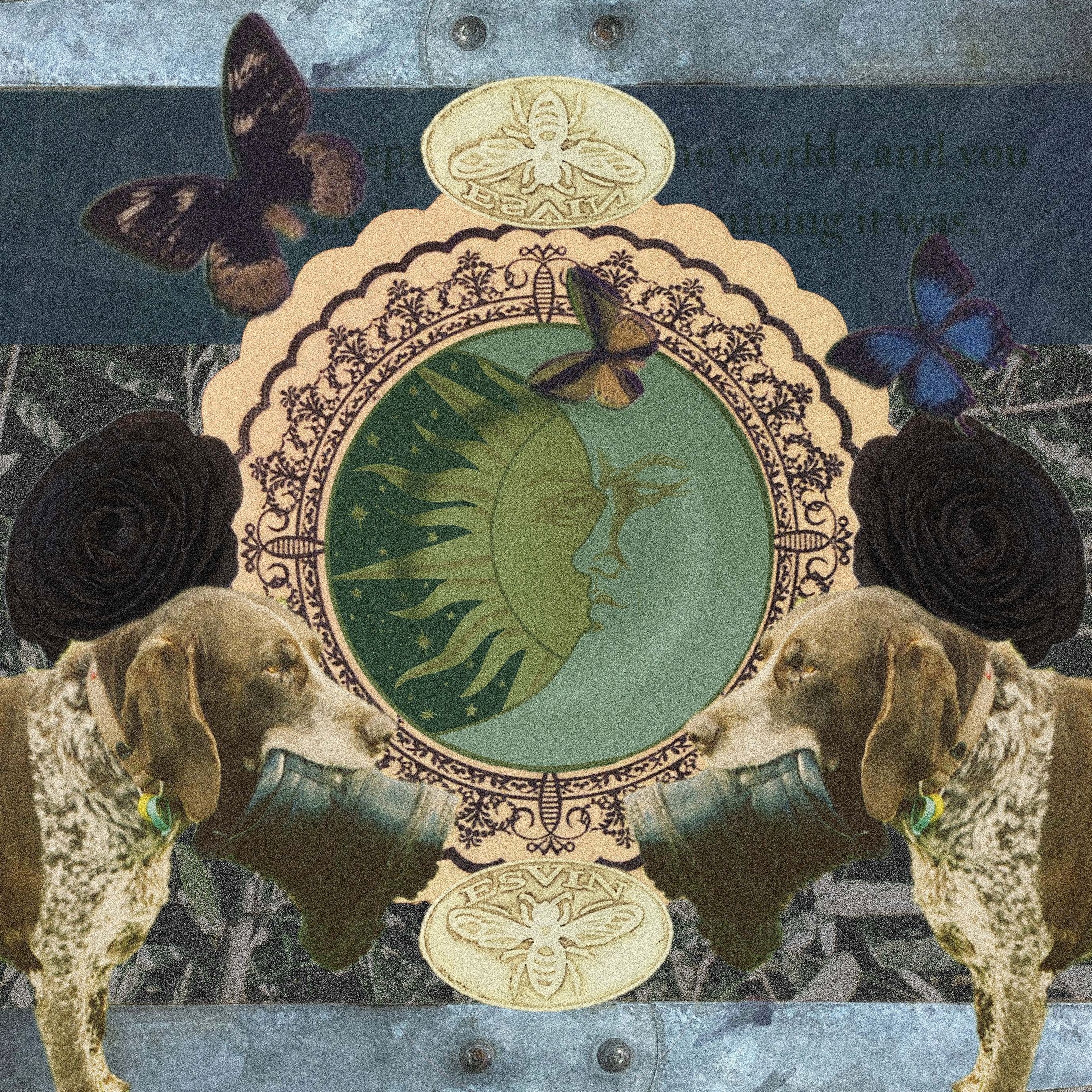 Collage -1