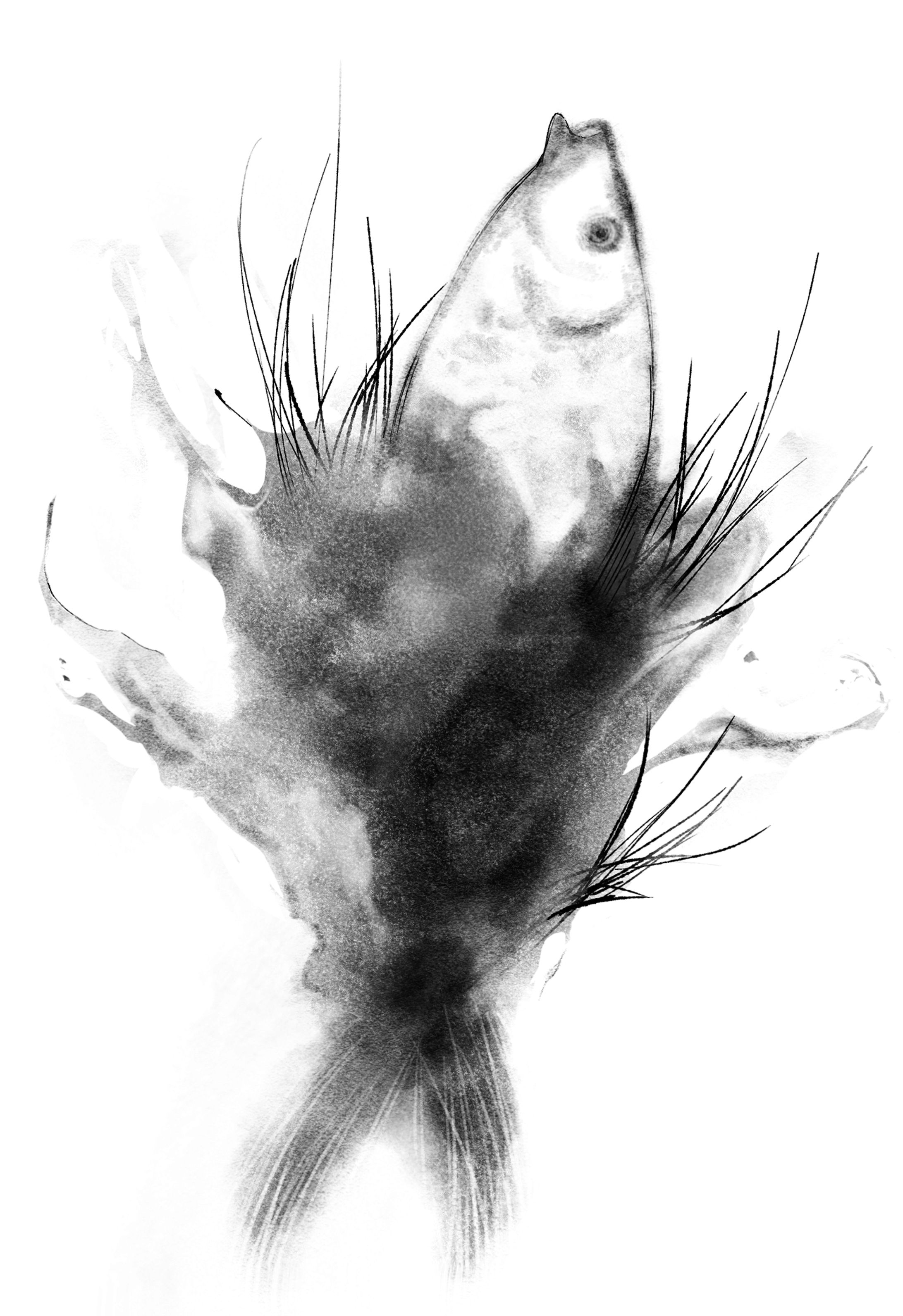 水彩画-1