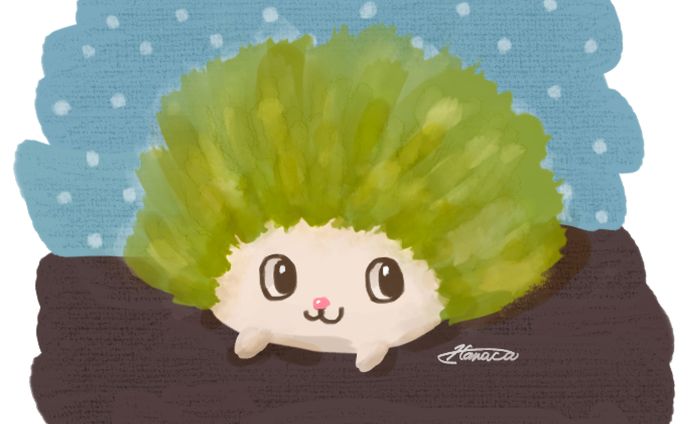 Nappy