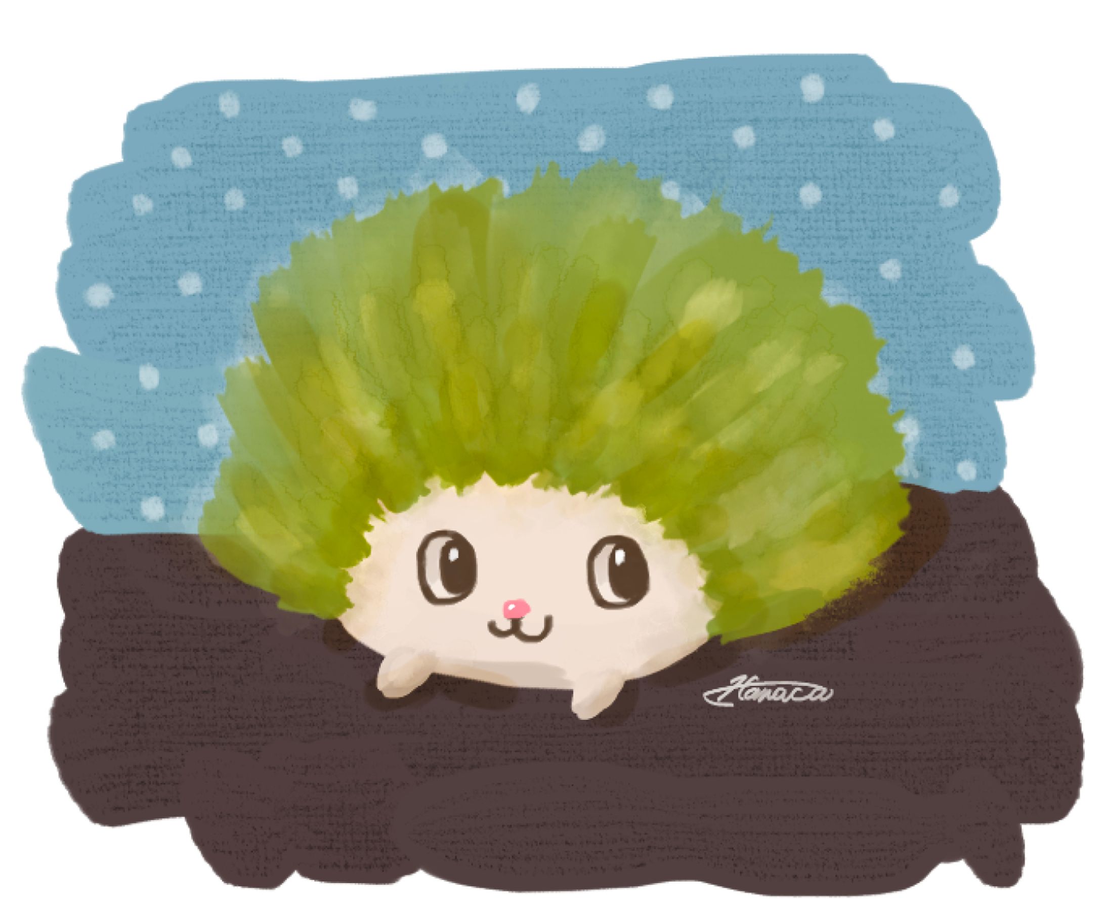 Nappy-1