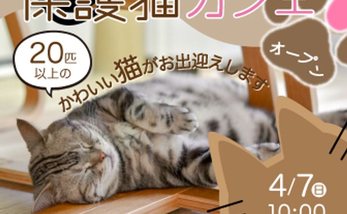 バナー/保護猫カフェオープン