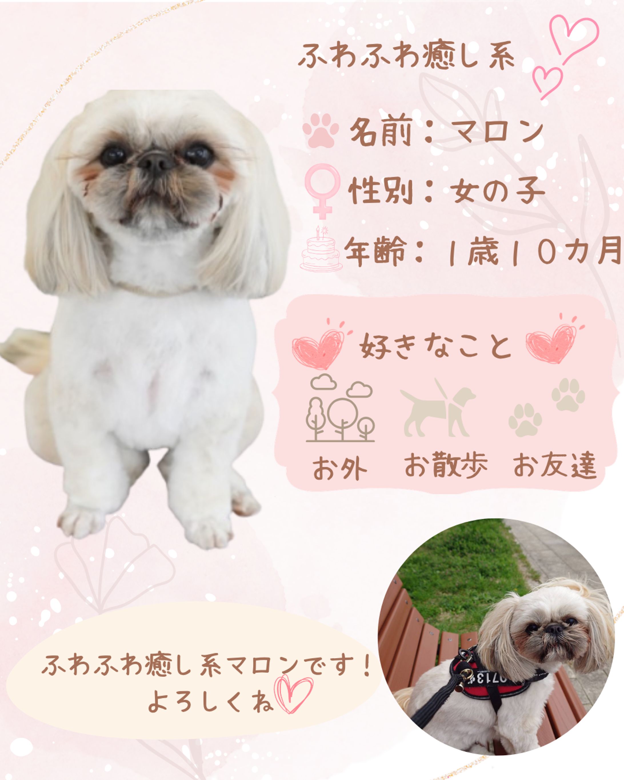 ふわふわ癒し系-1