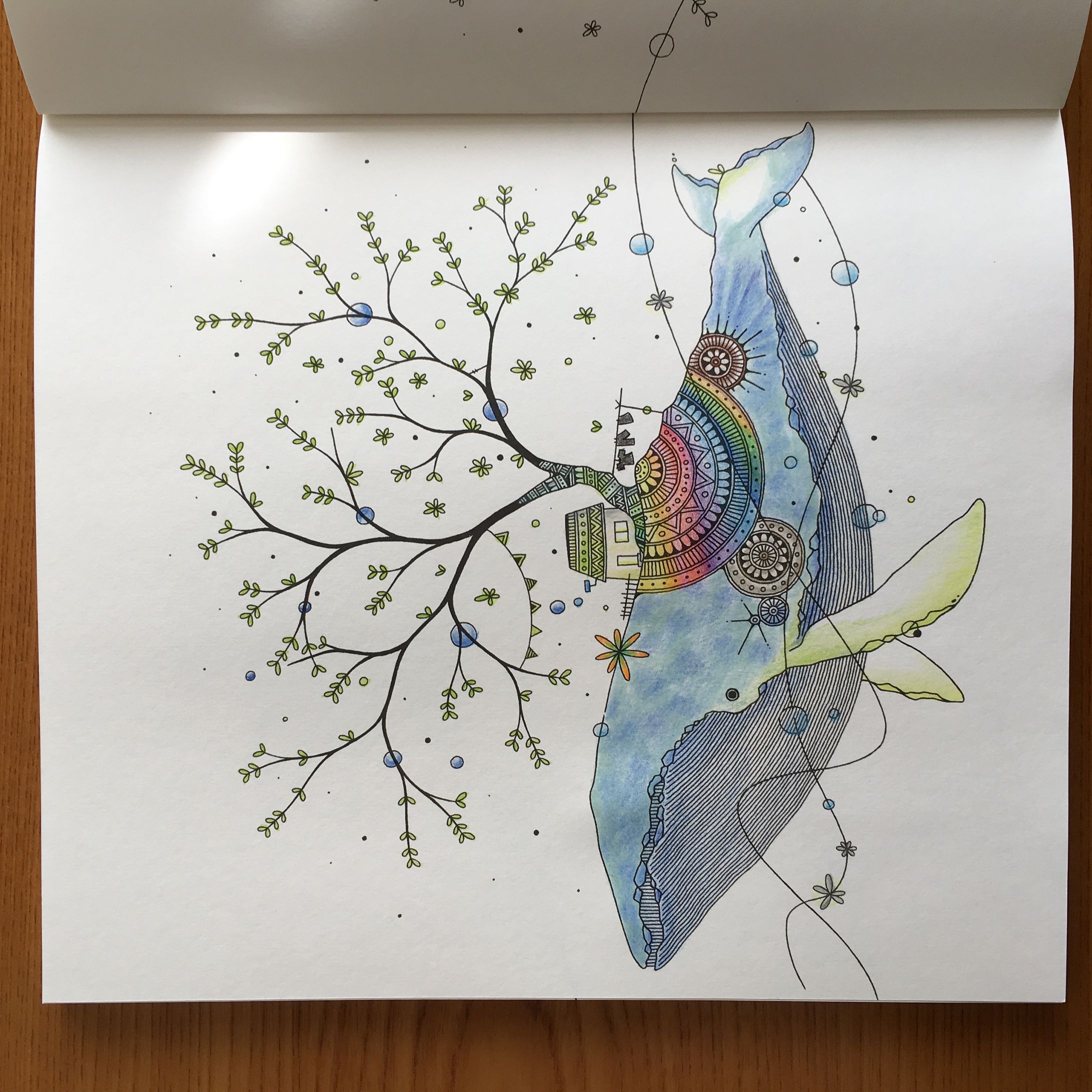  Coloring-1
