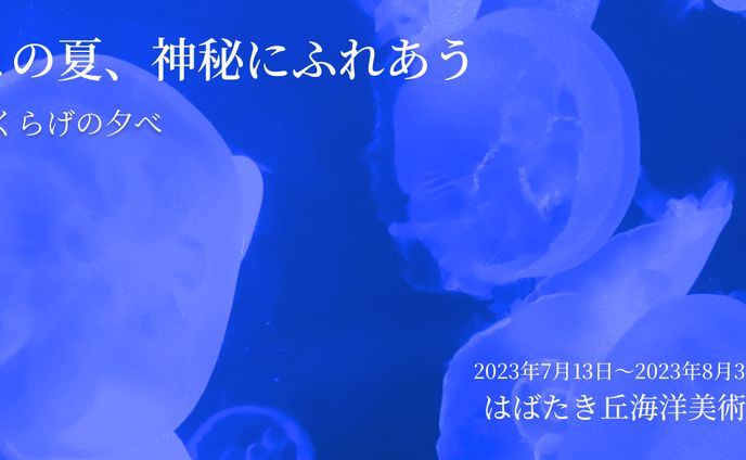 web用バナー、砲戦限定pvp