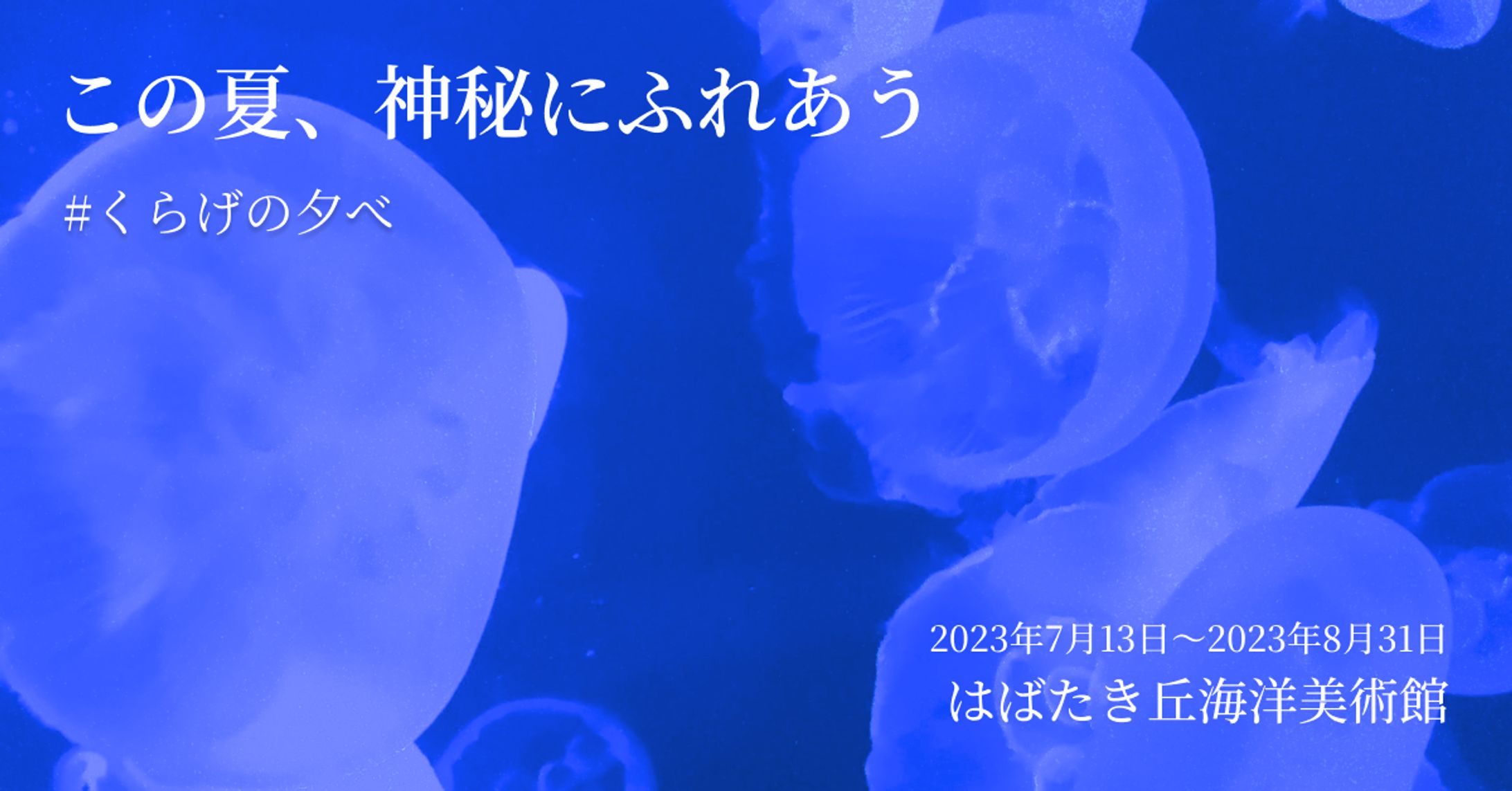 水族館期間限定CP用バナー-1