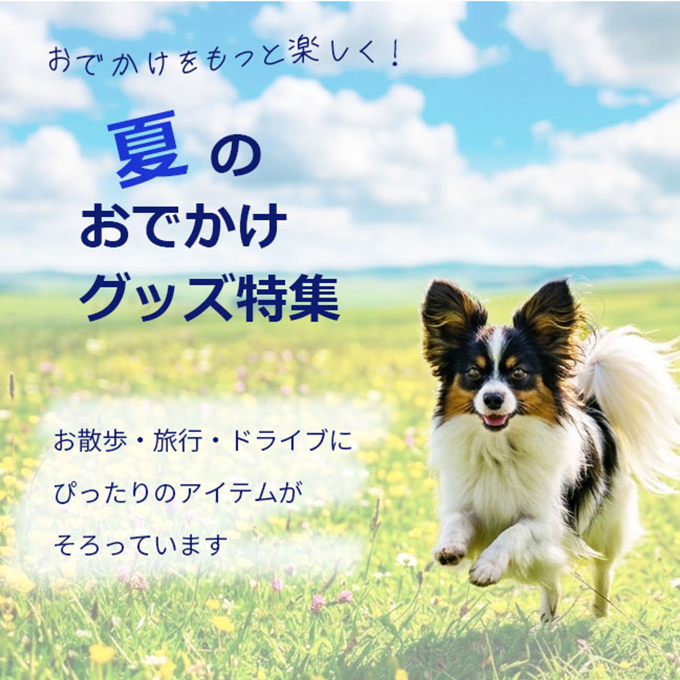 ペットグッズ販売EC夏のおでかけ用品バナー-1