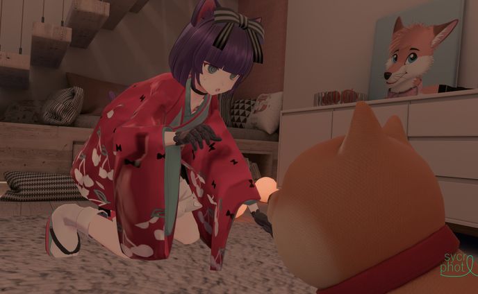 提供実績、写真