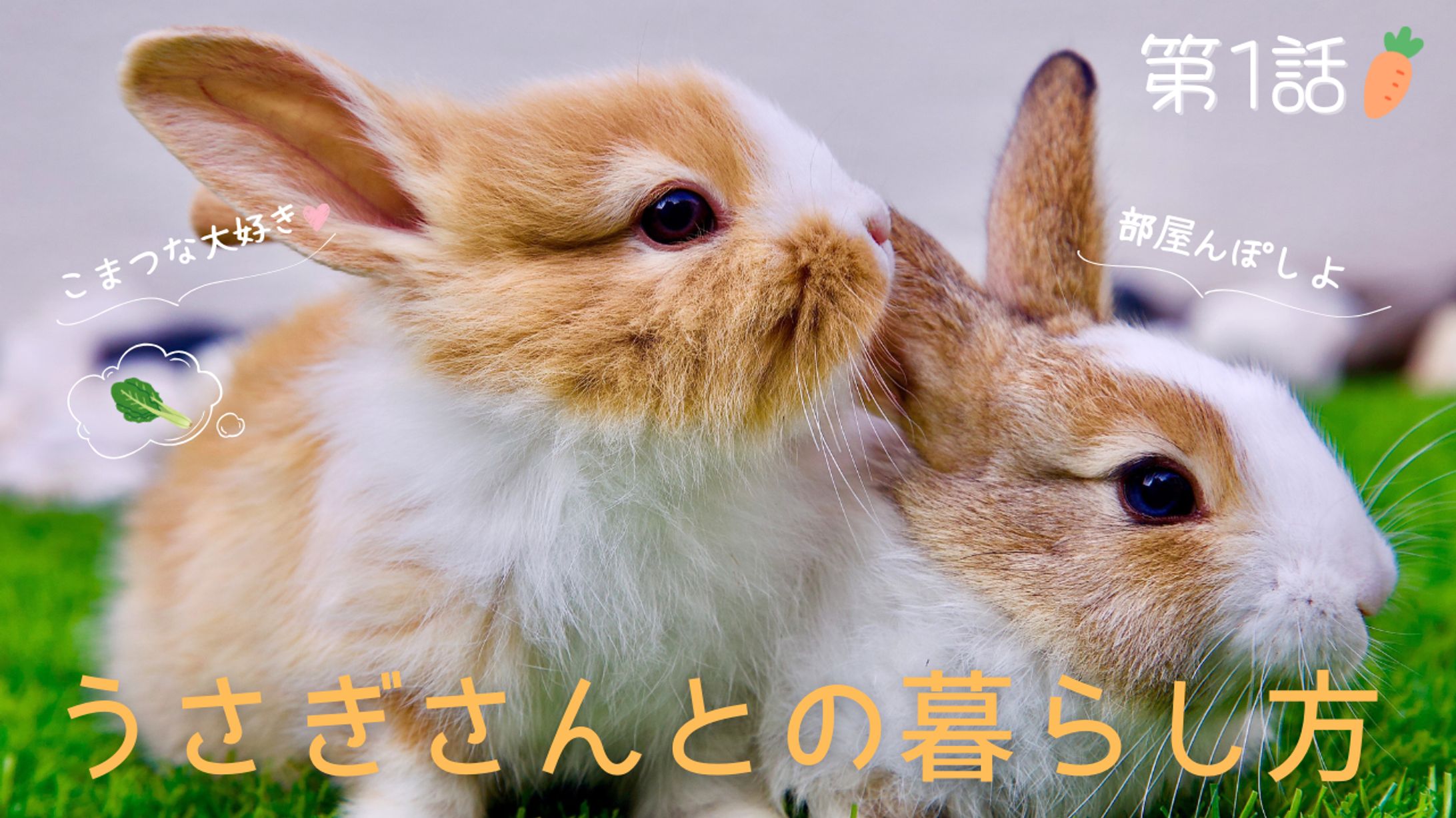 YouTubeサムネイル　ペットとの暮らし系『うさぎさんとの暮らし方』-1