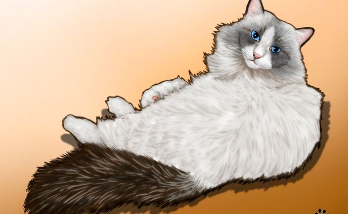 漫画　イラスト、お仕事イラスト