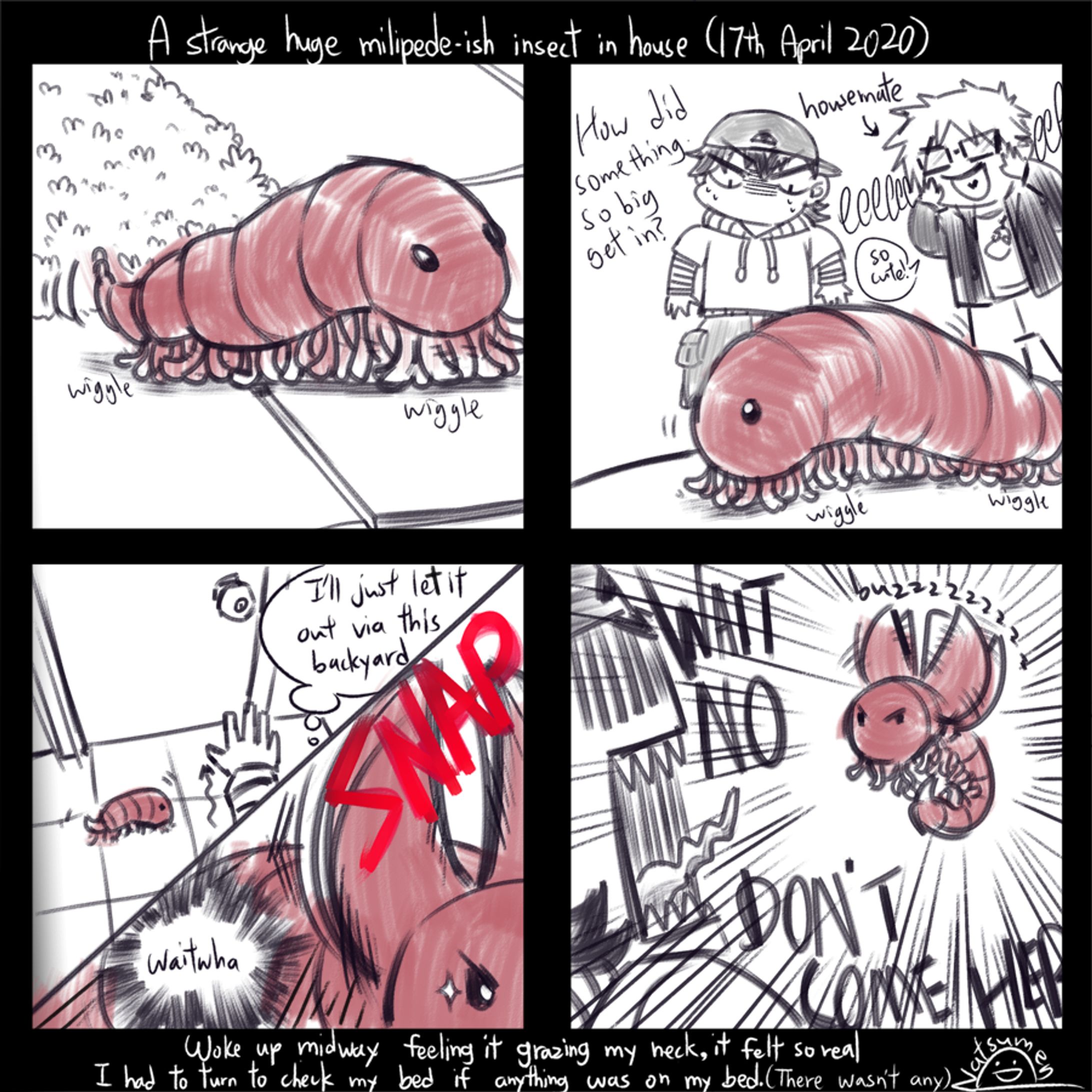 Big flying milipede + roaches-1