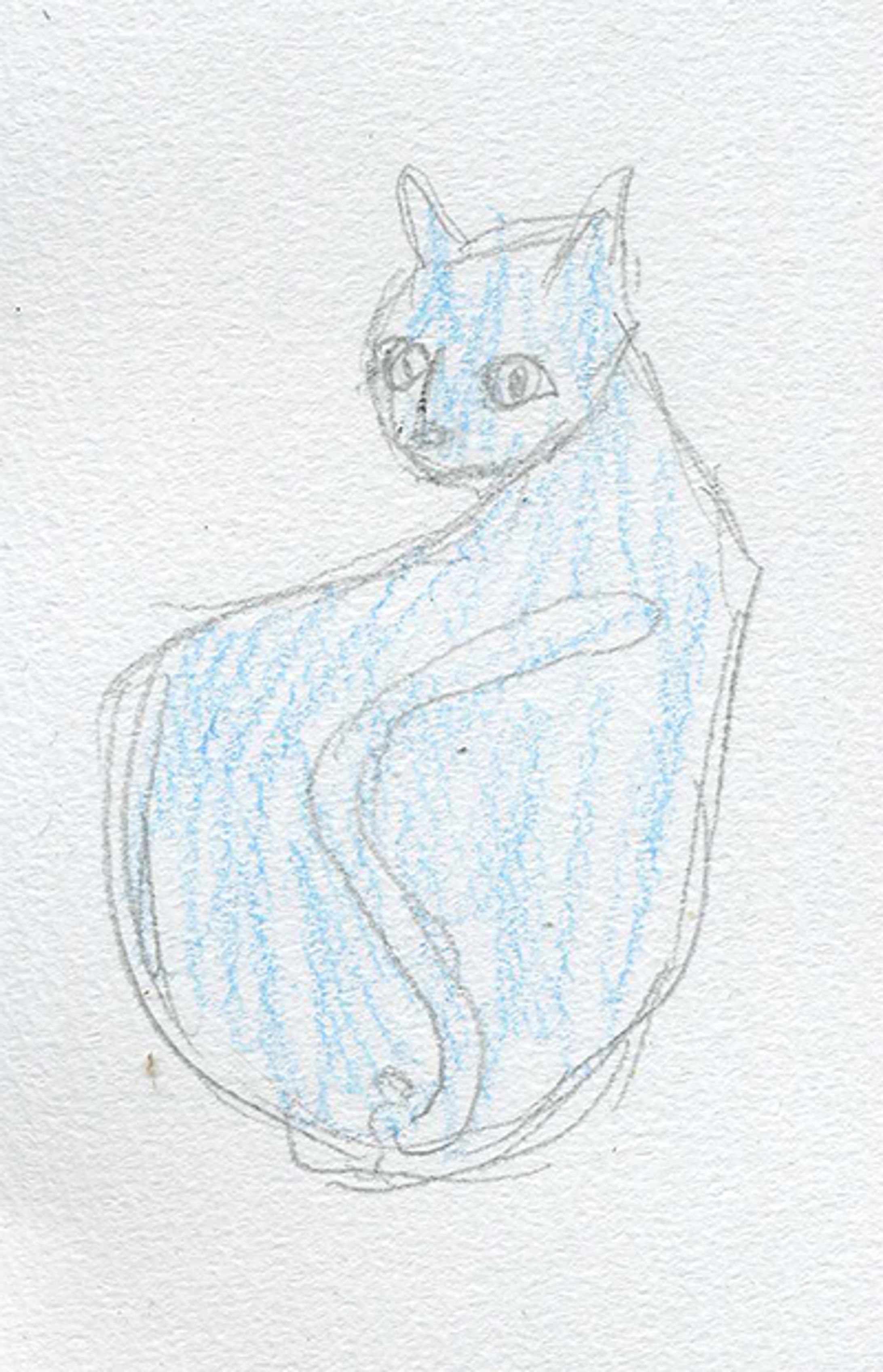 20110120_水色ねこ-1