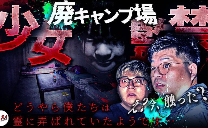 【実績】