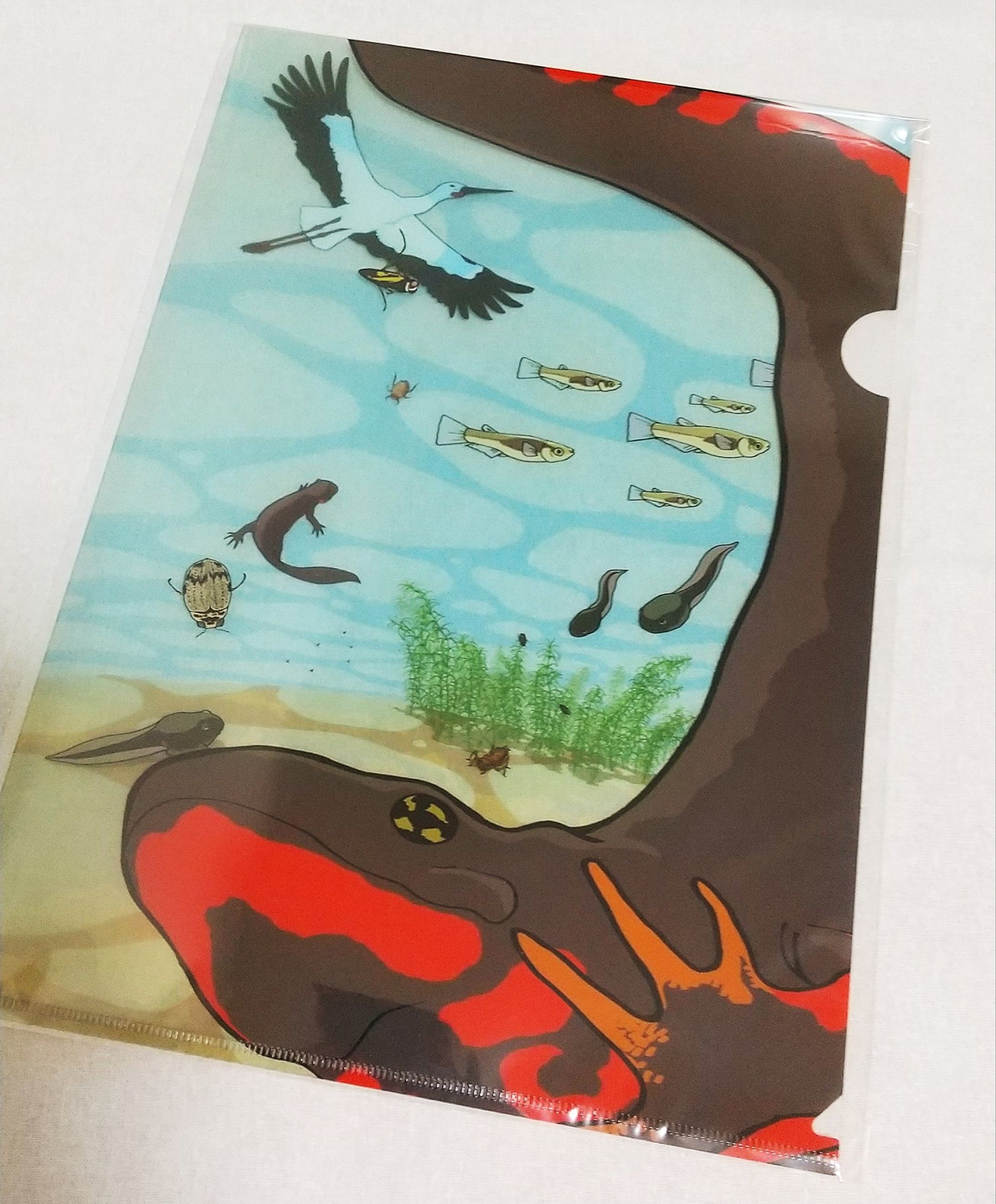 ビオトープクリアファイル-1